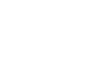 Palmita